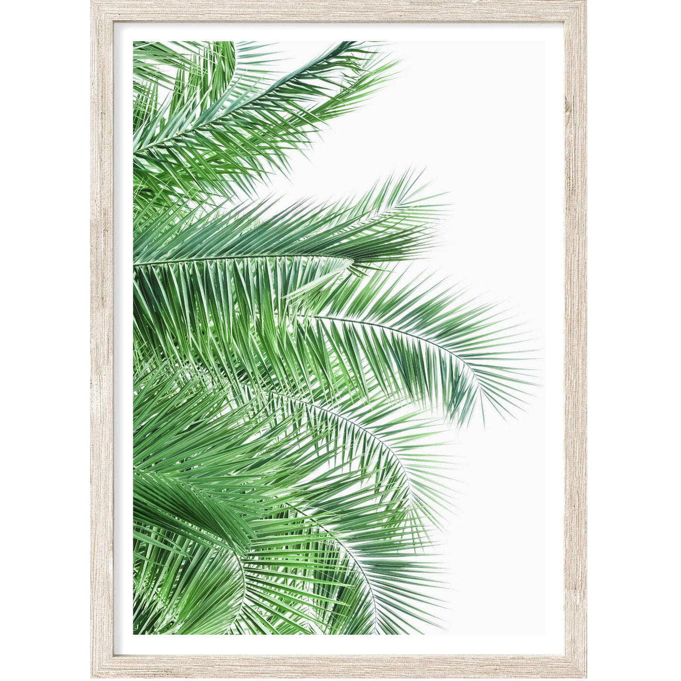 Palm Leaves IX | Palm Wall Art Print