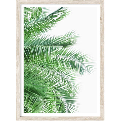 Palm Leaves IX | Palm Wall Art Print