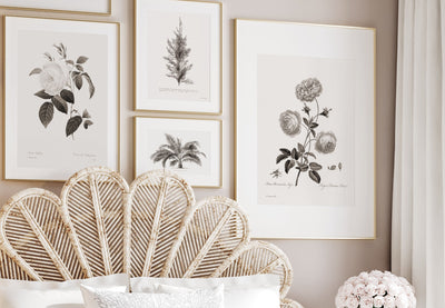 botanical wall art - flower art prints - arrtopia 