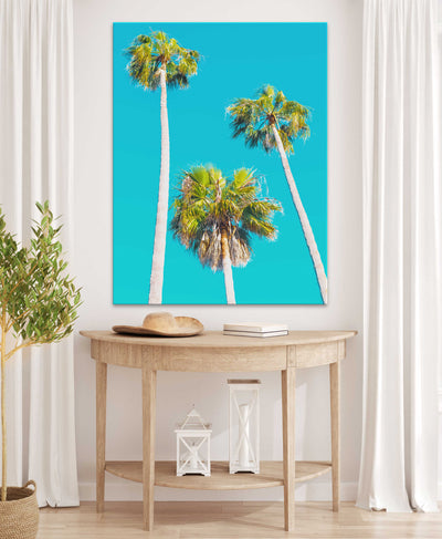 Three Palm Trees | Palm Wall Art | Stretched Canvas Print