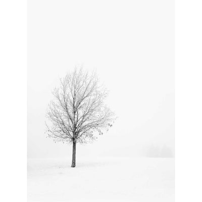 Winter Scapes - Set of 3