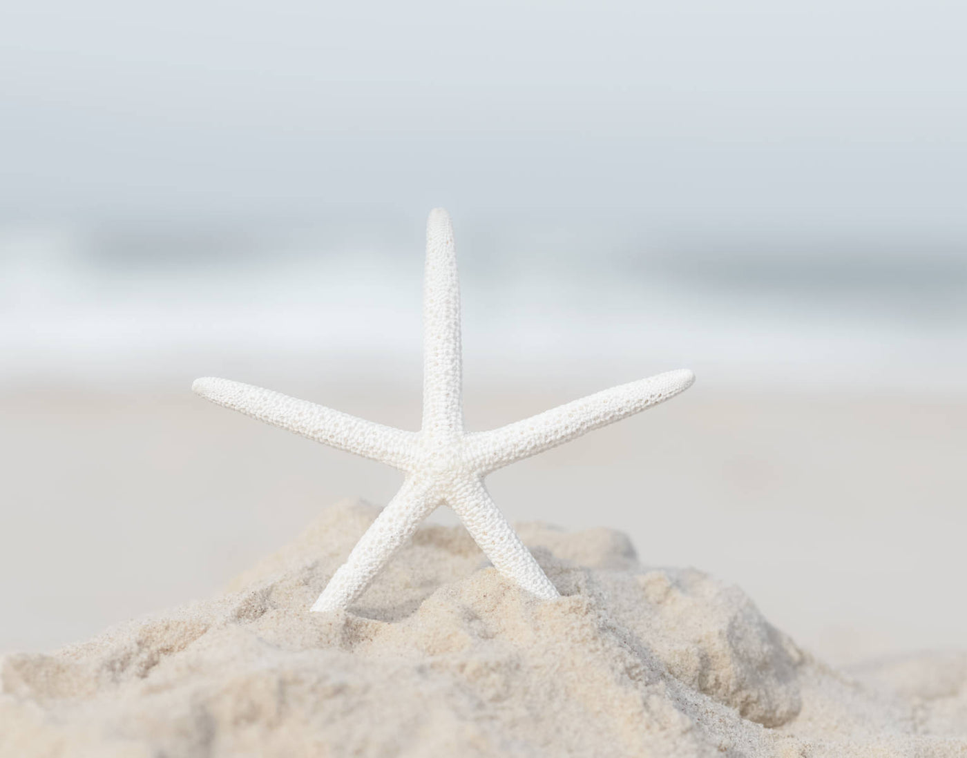 Starfish II