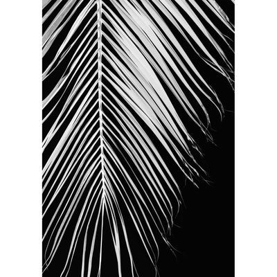 Palm Leaf V