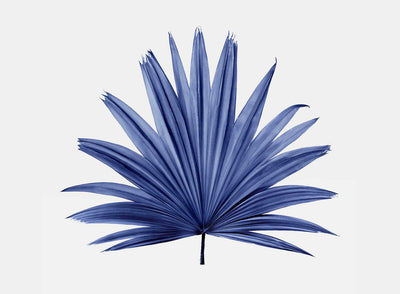 Blue Palm Leaf III