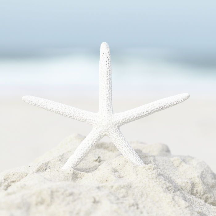 Beach Vibes Set of 9