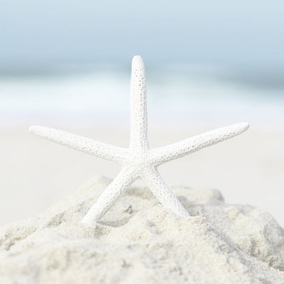 Beach Vibes Set of 9