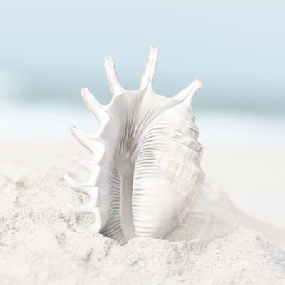 Beach Vibes Set of 9