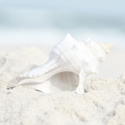 Beach Vibes Set of 9