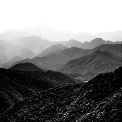 Foggy Mountains - Set of 4