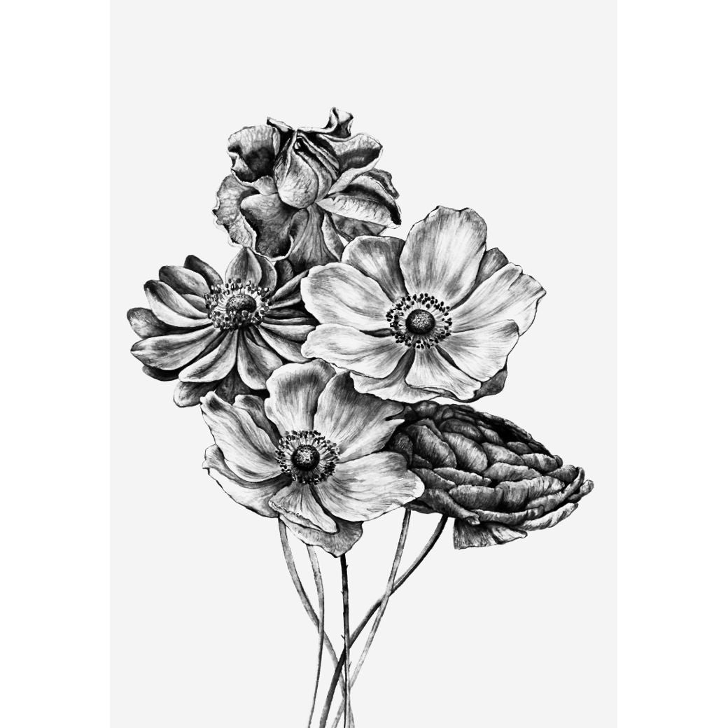 Black & White Anemone Bunch