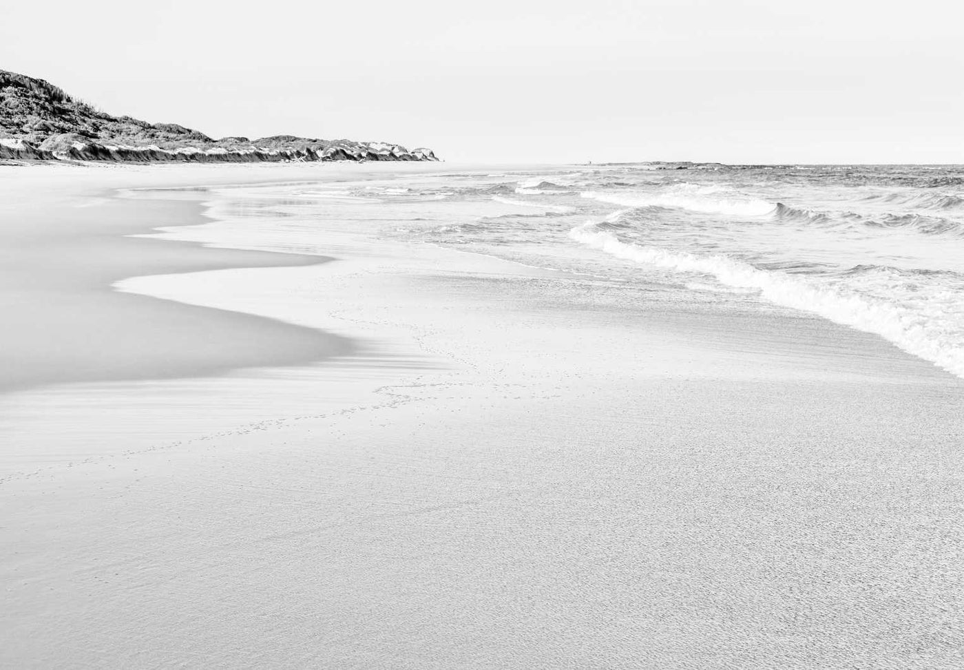 Black & White Magenta Beach II