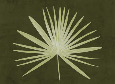 Windmill Palm Leaf II