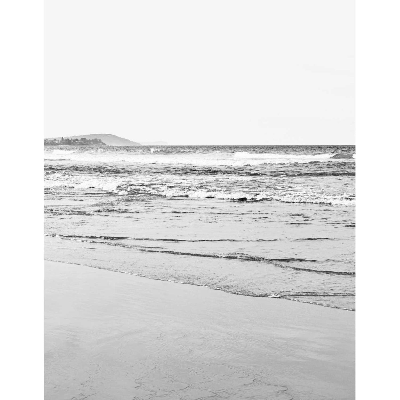 Black & White Pelican Beach - Set of 2