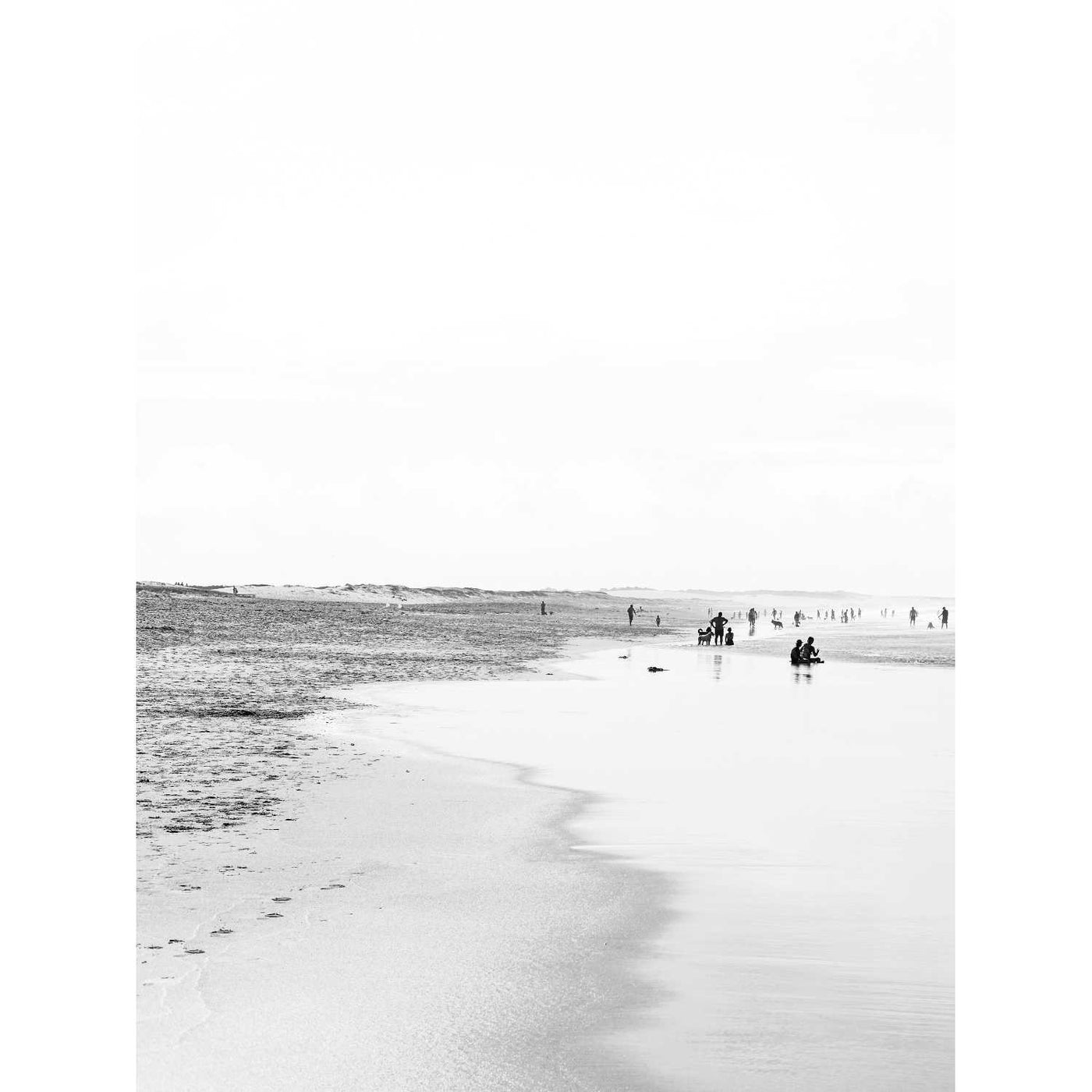Birdie Beach Black & White - Set of 2