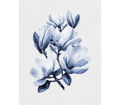 Magnolia Blooms Blue Set of 2