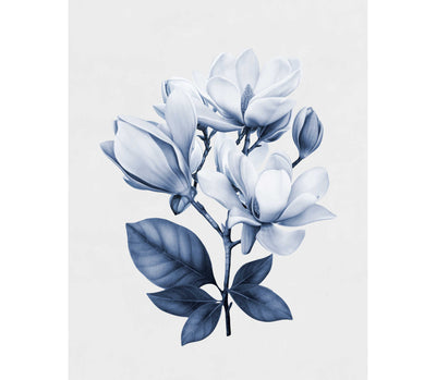 Magnolia Blooms Blue Set of 2