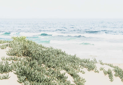 Lobster Pot Beach