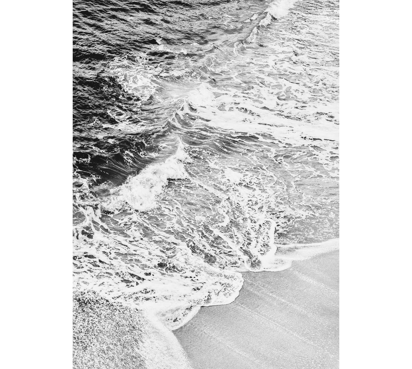 La Jolla Shores Black & White - Set of 2