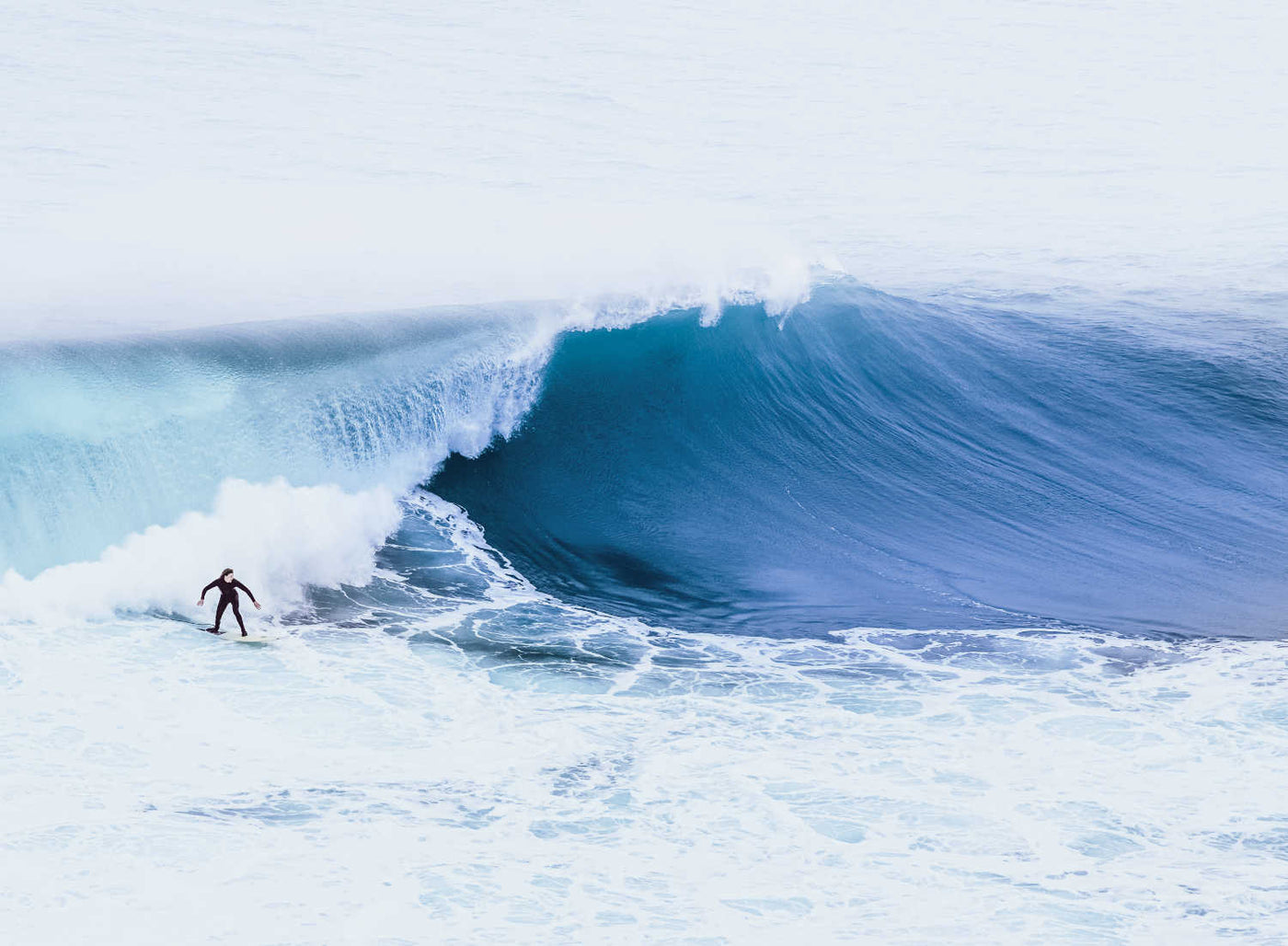 Malibu Surfer