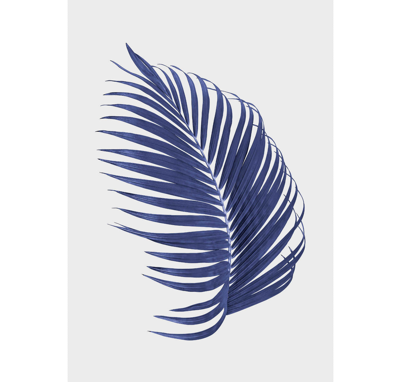 Blue Palm Leaf II