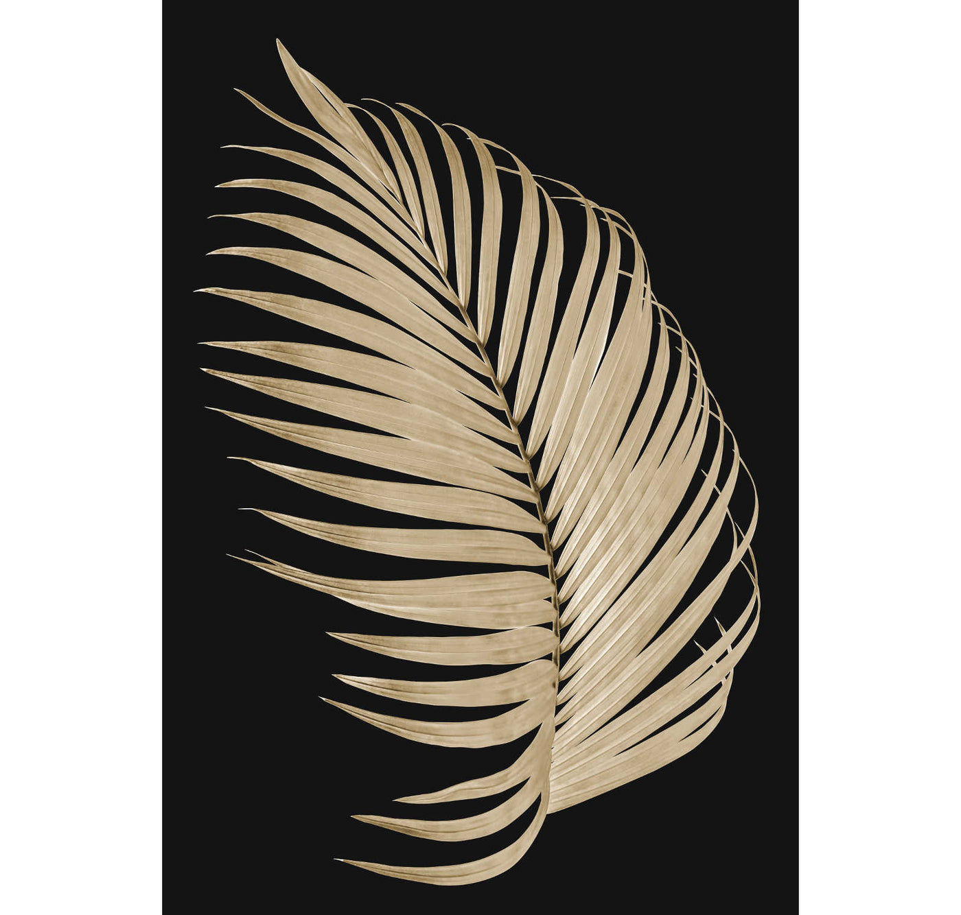 Beige Palm Leaf