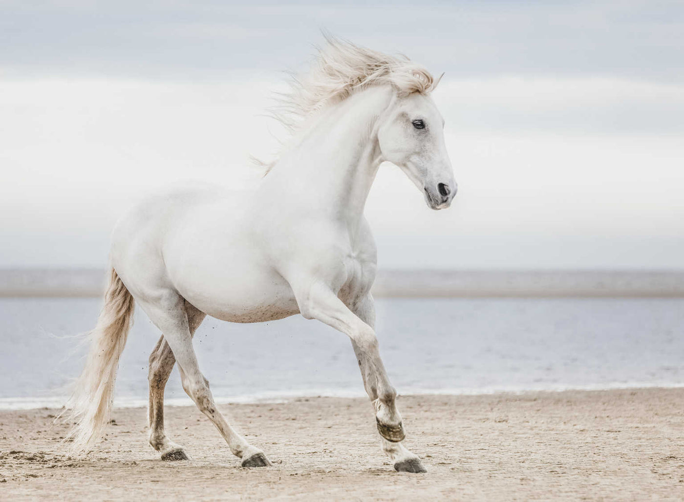 White Horse I