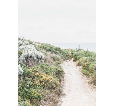 Coastal Path II