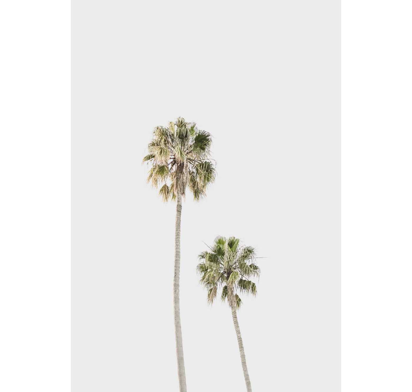 Mermaid Beach - Set of 2