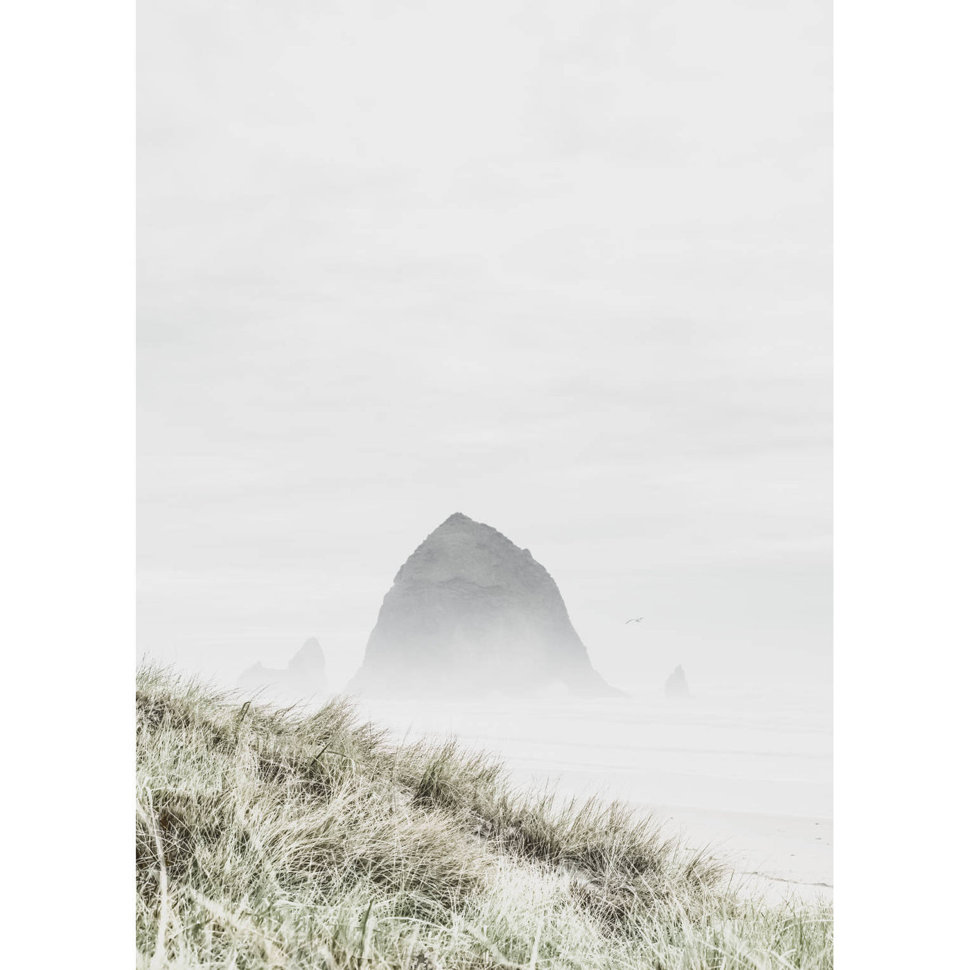 Cannon Beach II