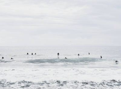 Palm Beach Surfers