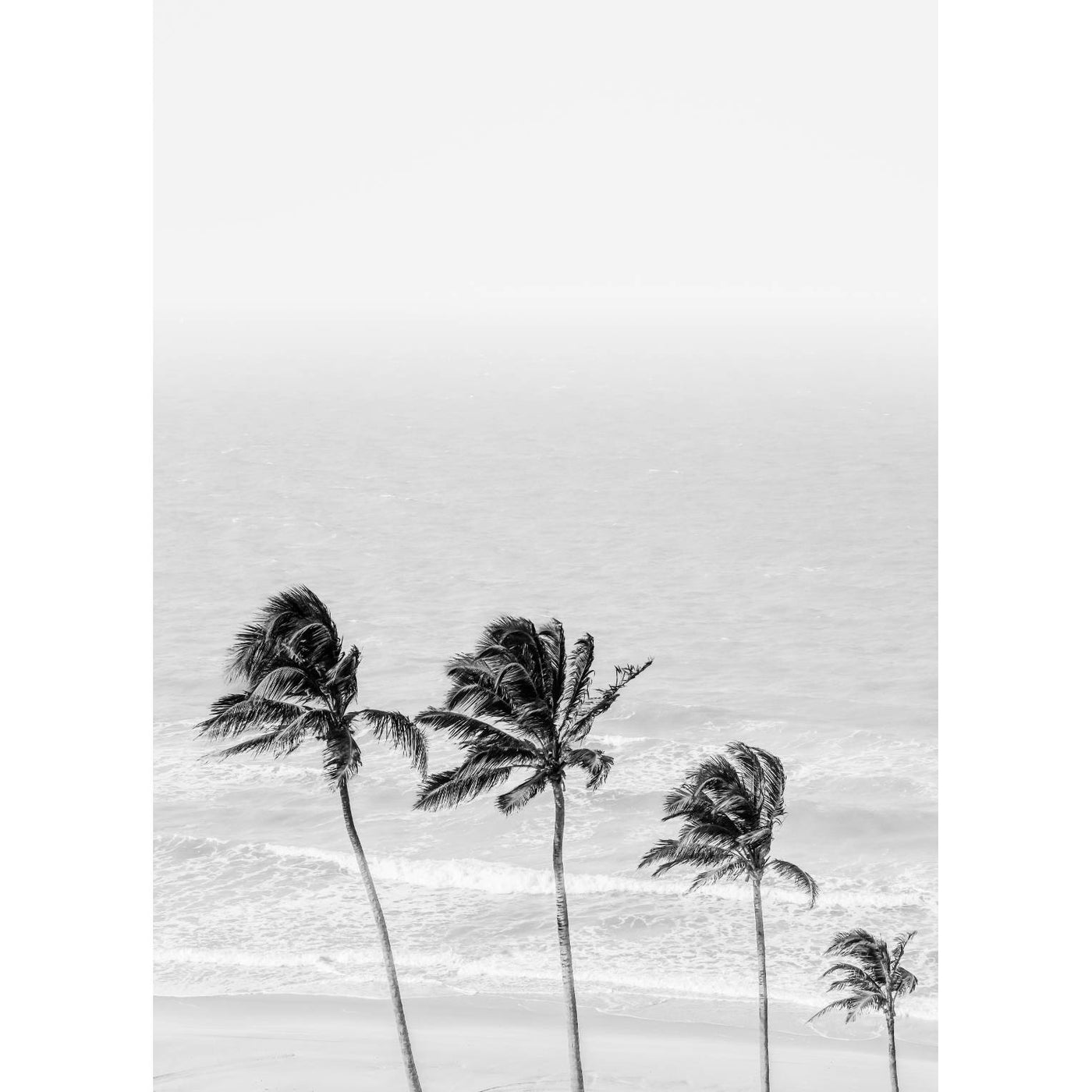 Hawaiian View Black & White II
