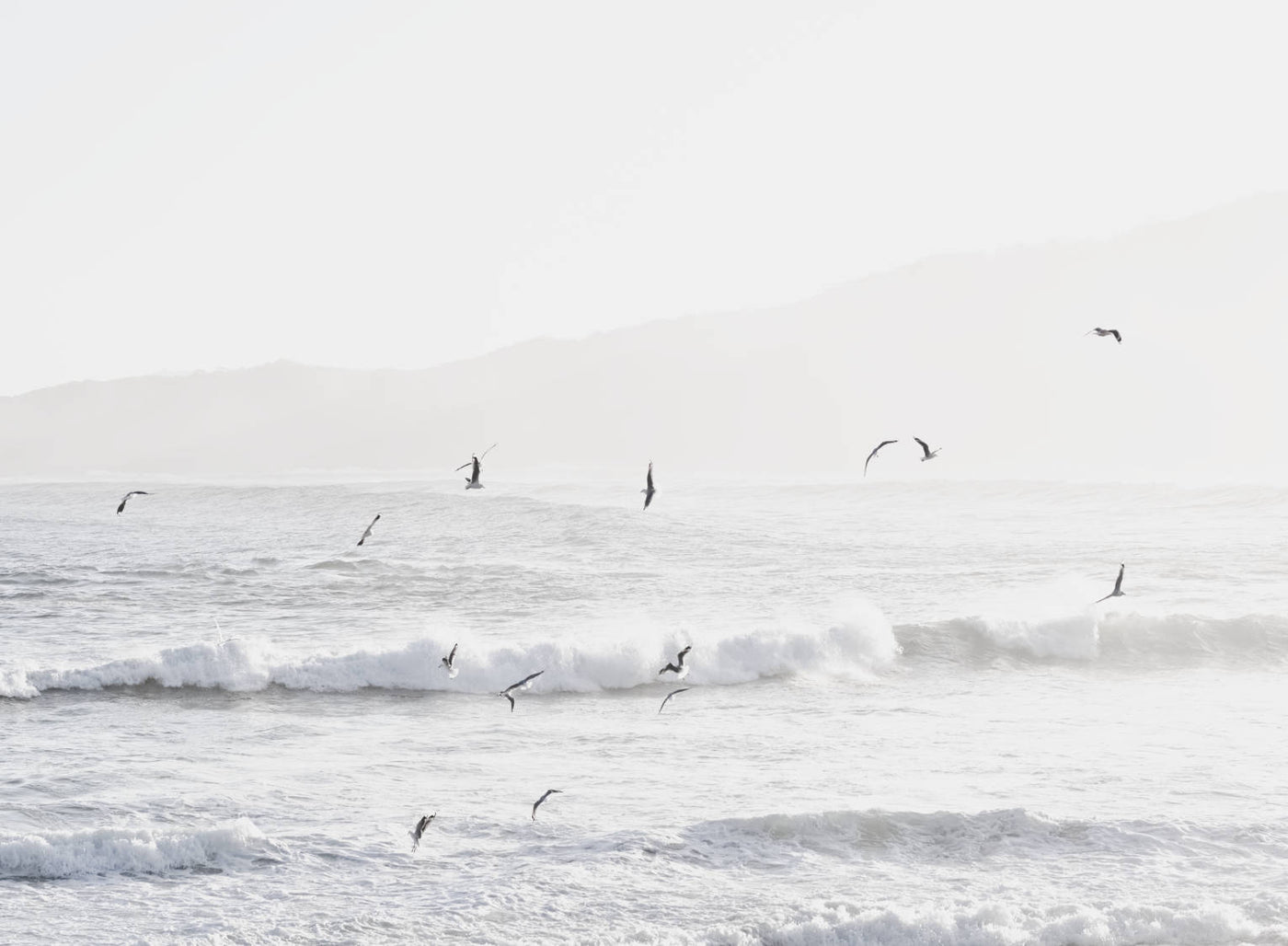 Monastery Beach