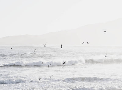 Monastery Beach