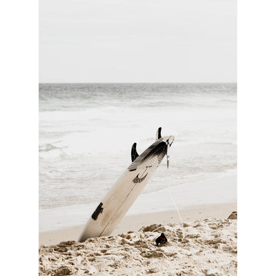 Surfside Vibes II - Set of 4