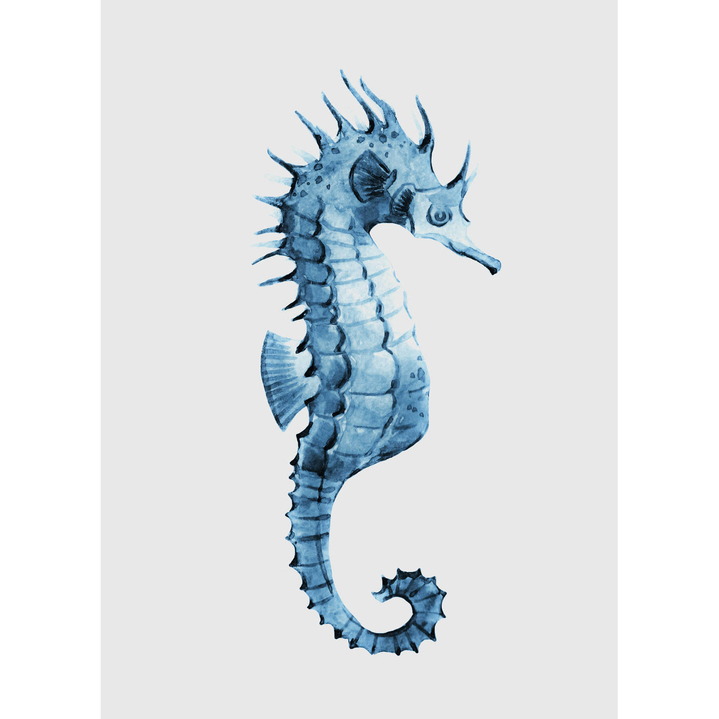 Seahorses & Seashells Set of 3