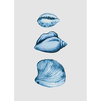 Seahorses & Seashells Set of 3