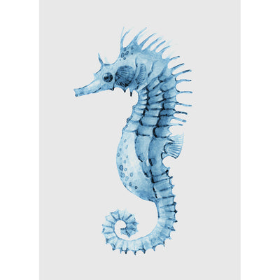 Seahorses & Seashells Set of 3