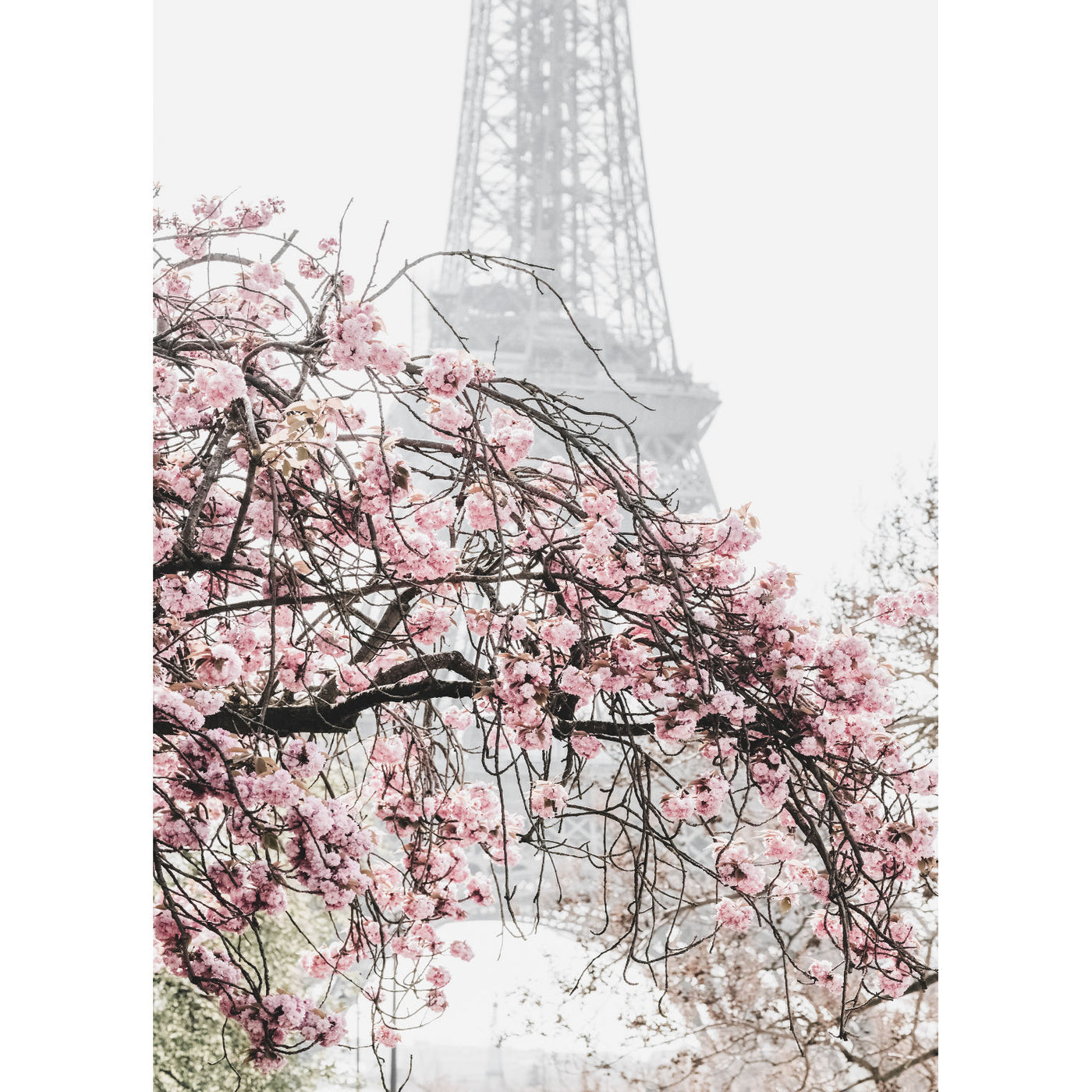 Spring in Paris