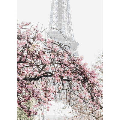 Spring in Paris