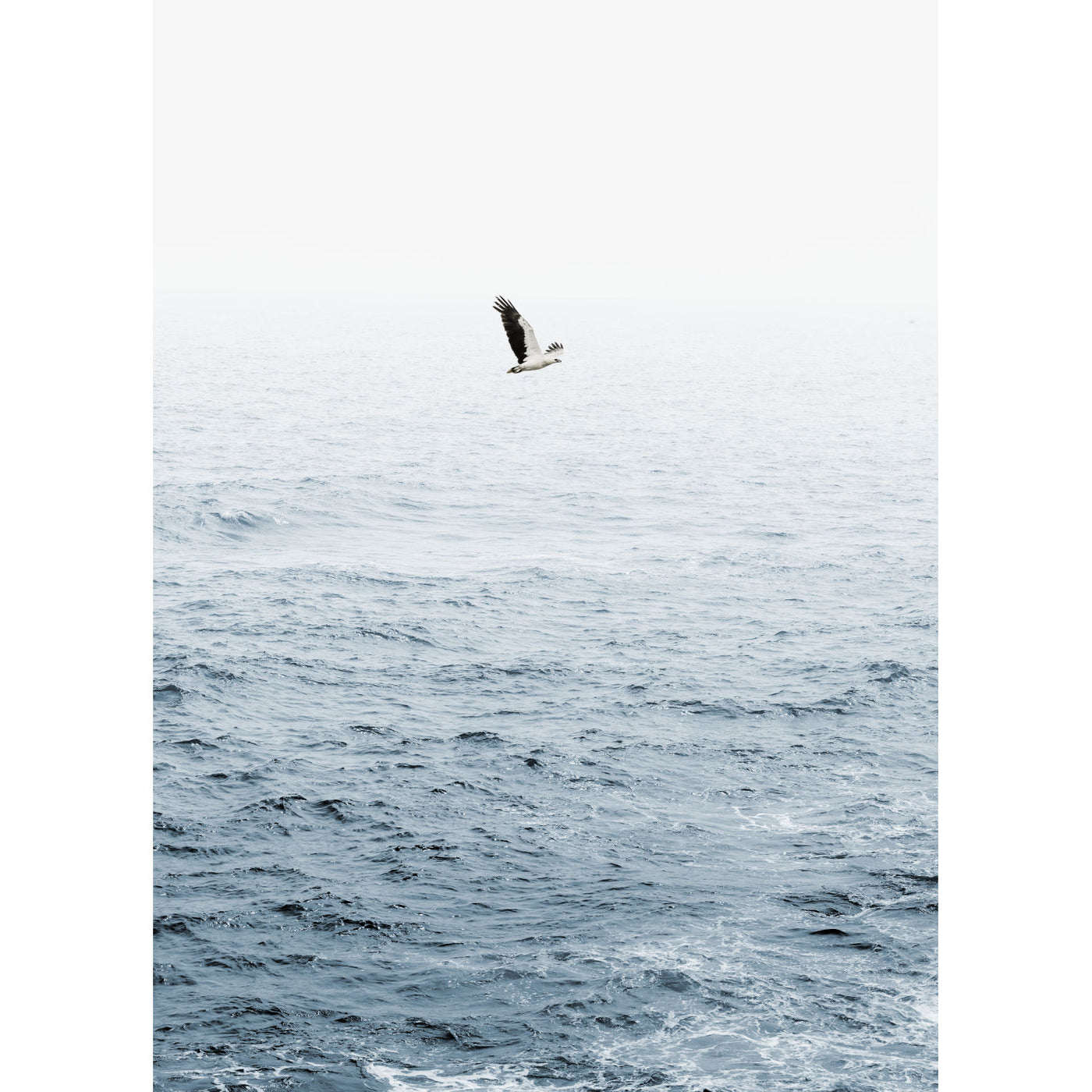 Where Eagles Soar