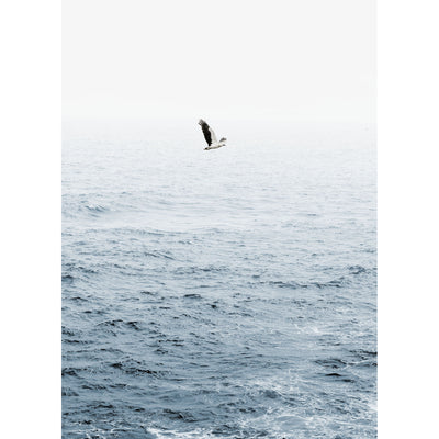 Where Eagles Soar