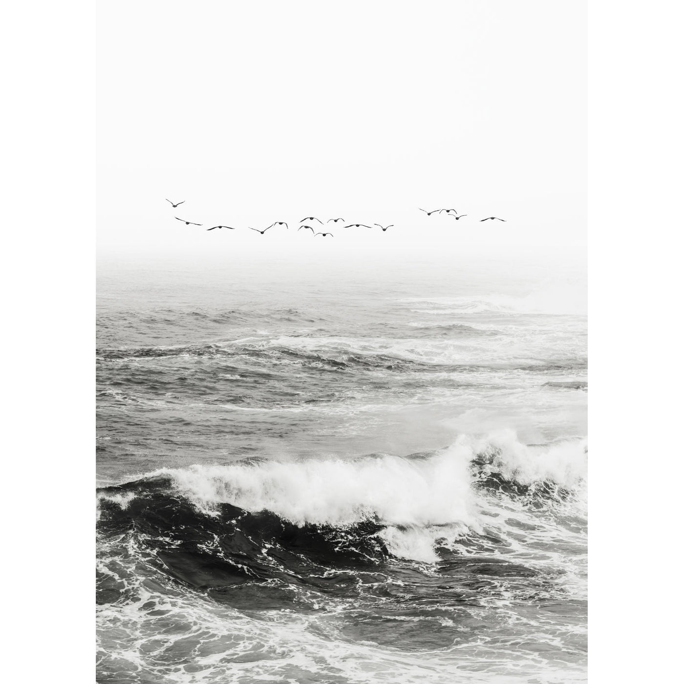 Pacific Coast Black & White