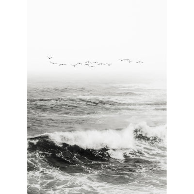 Pacific Coast Black & White