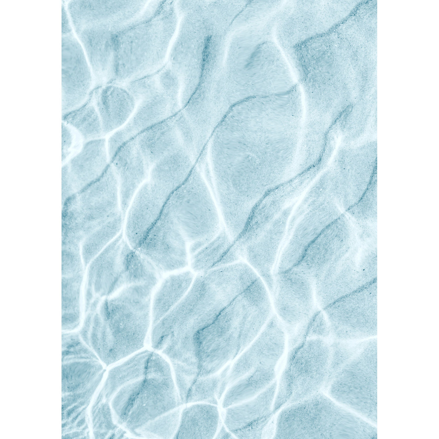 Coastal Whispers