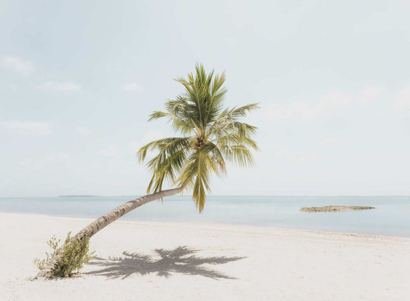 Island Tranquility