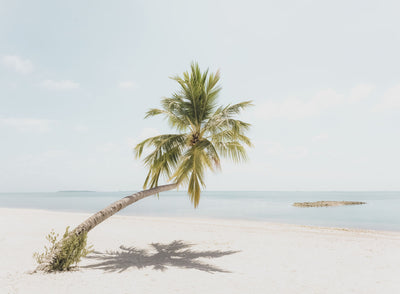 Island Tranquility