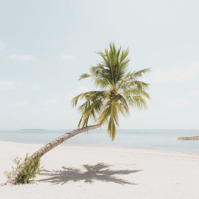Island Tranquility