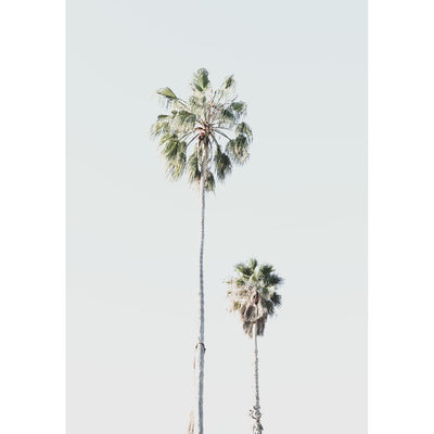 Coastal Haven Set of 3