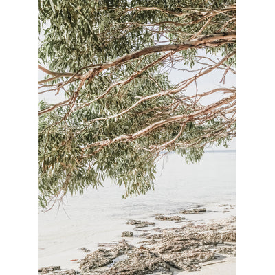 Coastal Hideaway II