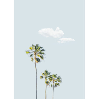 Trio Palms II